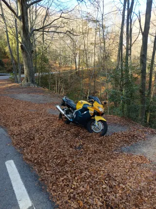 Venta Honda CBR 600F4