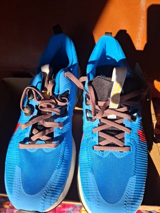 Zapatillas Nike Trail Running Azul/Rojo