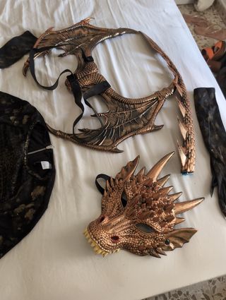 Disfraz Dragona Halloween