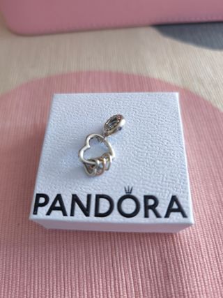 Charm Pandora 