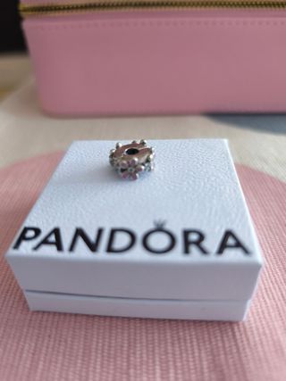 Charm Pandora