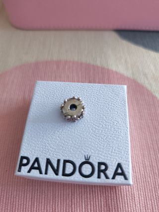Charm Pandora