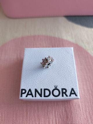 Charm Pandora