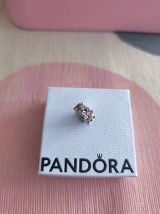 Charm Pandora