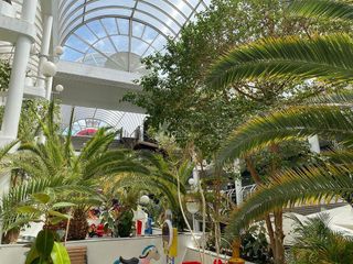 Local comercial en alquiler en El Burgo en Rozas de Madrid (Las)