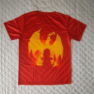 Camiseta Charmander - Charizard - Pokemon 