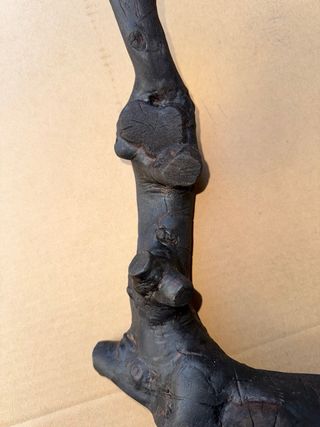 Ramo Ulivo Yakisugi Terrario