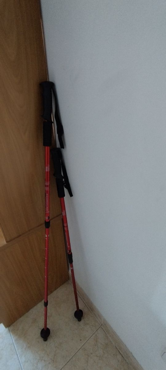 Bastoncini da trekking rossi