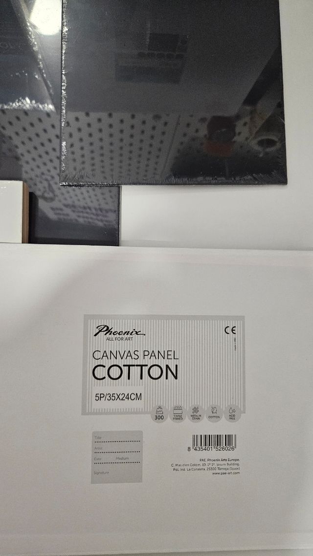 Lote Lienzos y Soportes para Pintar