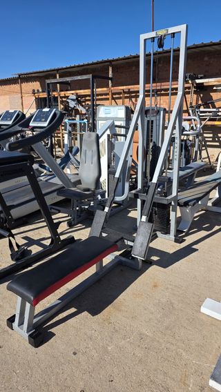 Remo bajo Technogym segunda mano usada.
Maquina