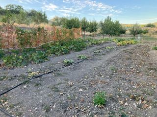 Parcela de recreo en venta