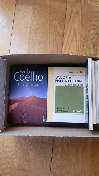 Lote de libros varios