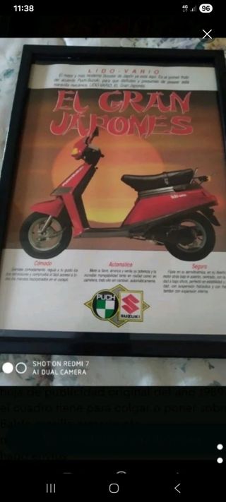 Suzuki lido cuadro