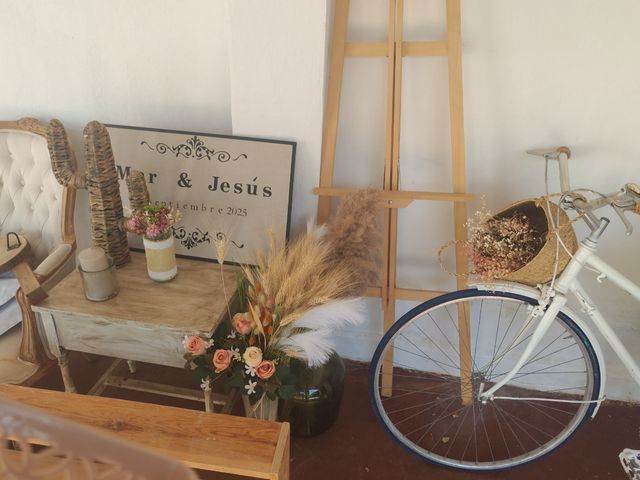 Montaje para bodas y fiestas: photocall,glow party