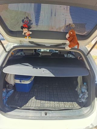 Volkswagen Golf Variant Advance 2.0 TDI 150cv BMT