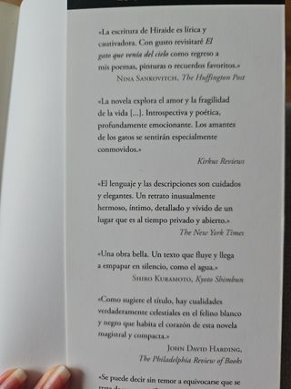 El gato que venía del cielo (Literaturas) (Span...