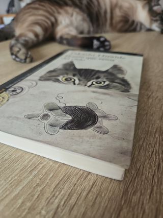 El gato que venía del cielo (Literaturas) (Span...