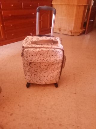 Maleta de viaje con ruedas