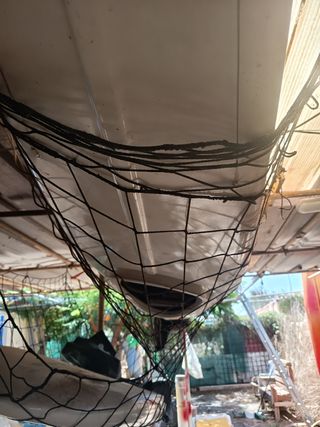 Piragua K1