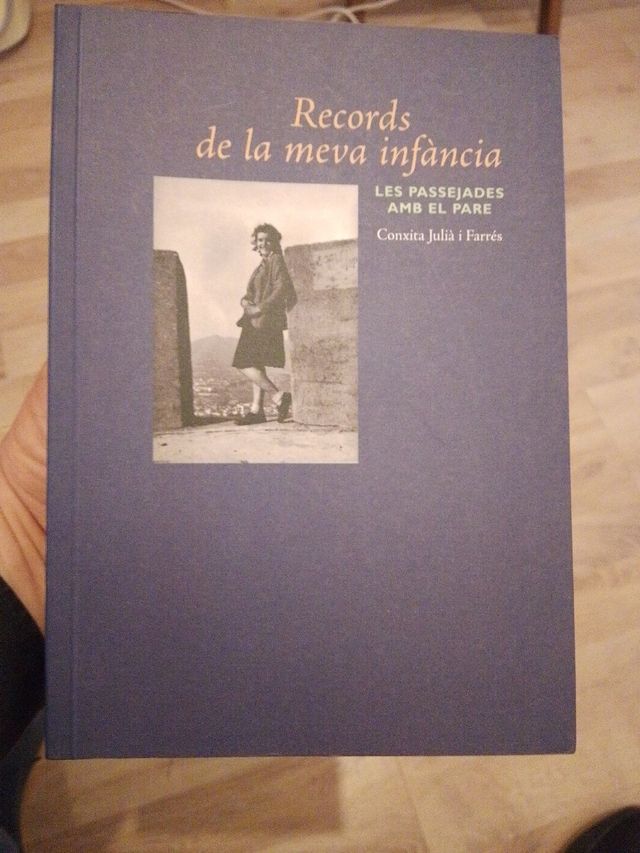 Horitzo TV: Prospects for Another Television......