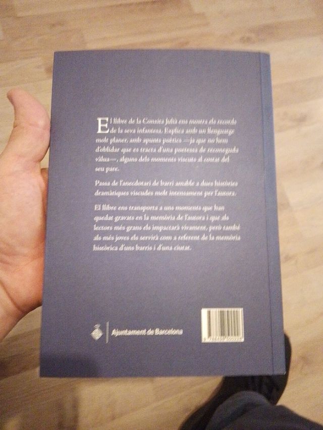 Horitzo TV: Prospects for Another Television......