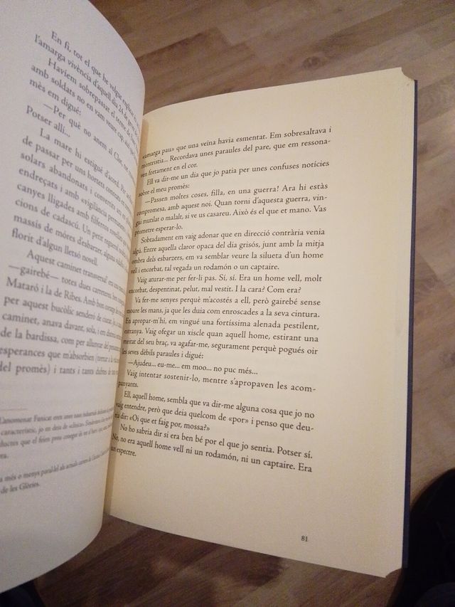 Horitzo TV: Prospects for Another Television......