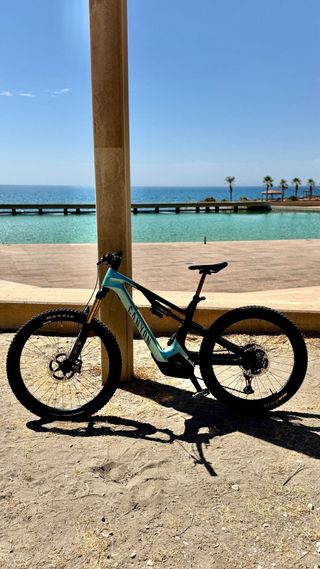 Canyon Spectral ON CFR 2024 