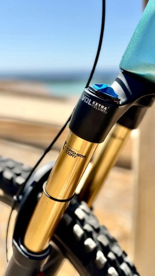 Canyon Spectral ON CFR 2024 