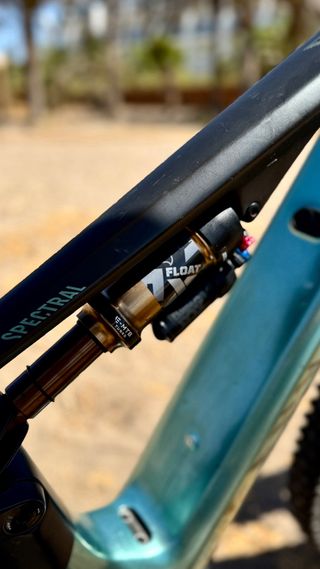 Canyon Spectral ON CFR 2024 