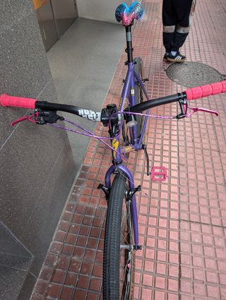 Bicicleta Vintage Specialized Rock Hopper Morada