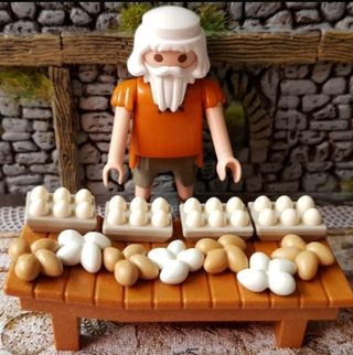Pollería de playmobil