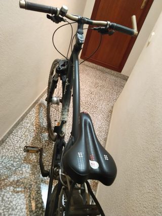 Bicicleta negra