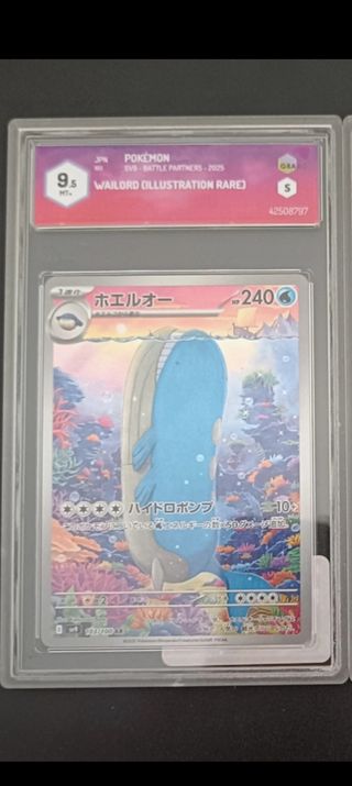 Wailord AR Giapponese Graduato 9.5