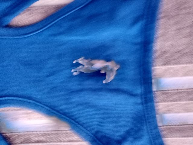 Camiseta sin mangas azul BOXEUR DES RUES