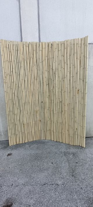 Cañas de Bambú Natural Beige