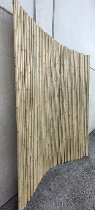 Cañas de Bambú Natural Beige