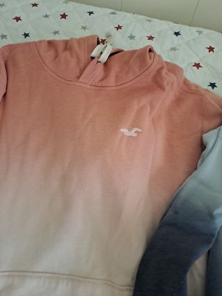 Sudadera Hollister Degradado Rosa