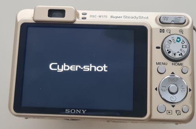 Cámara Sony Cyber-Shot DSC W170 dorada