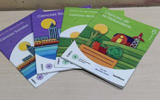 Libros y cuadernillos de 6 de primaria. 

