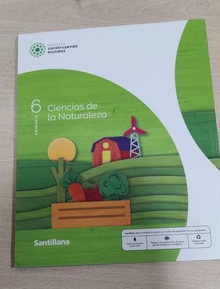 Libros y cuadernillos de 6 de primaria. 

