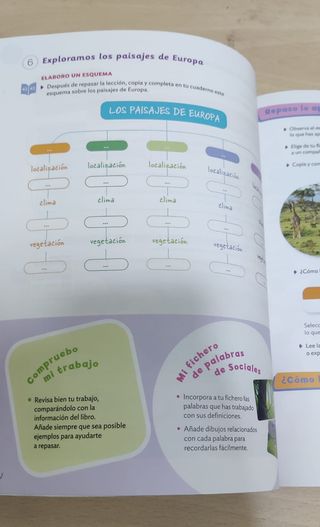 Libros y cuadernillos de 6 de primaria. 

