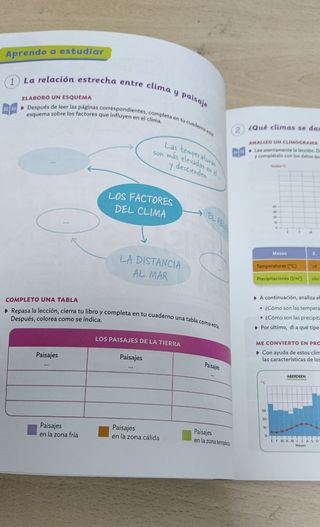 Libros y cuadernillos de 6 de primaria. 

