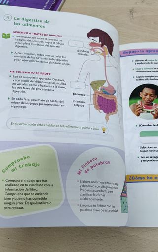Libros y cuadernillos de 6 de primaria. 


