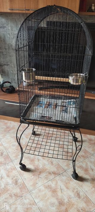 Jaula grande para loro