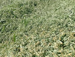 Césped artificial verde