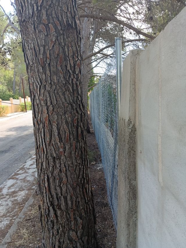 Vallado de su Parcela o Campo