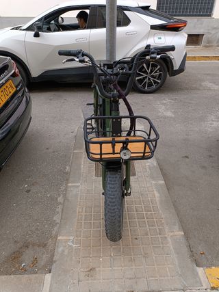 Bicicleta eléctrica RadRunner II 