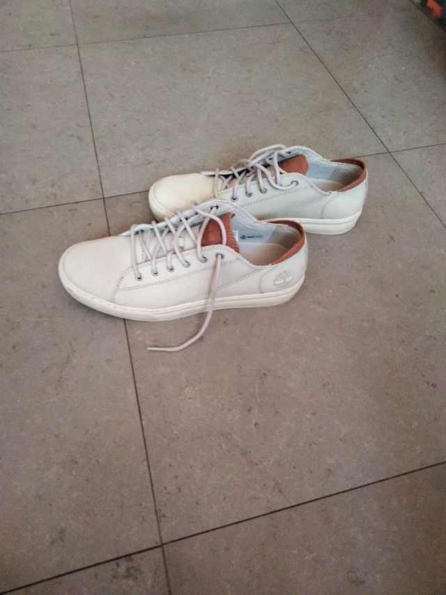 Timberland Sneakers Uomo Bianche