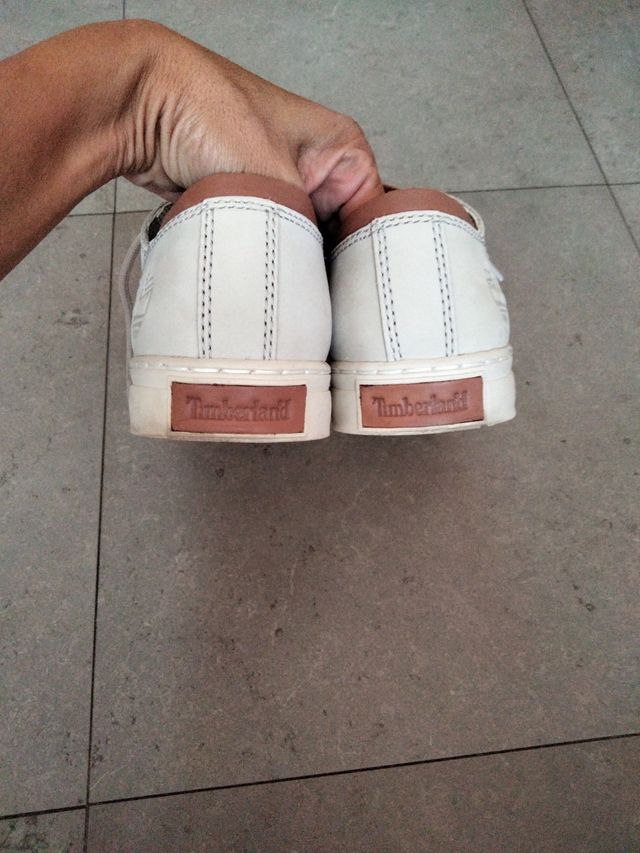 Timberland Sneakers Uomo Bianche