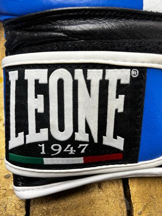 Guantes de Boxeo Leone Azules y Blancos